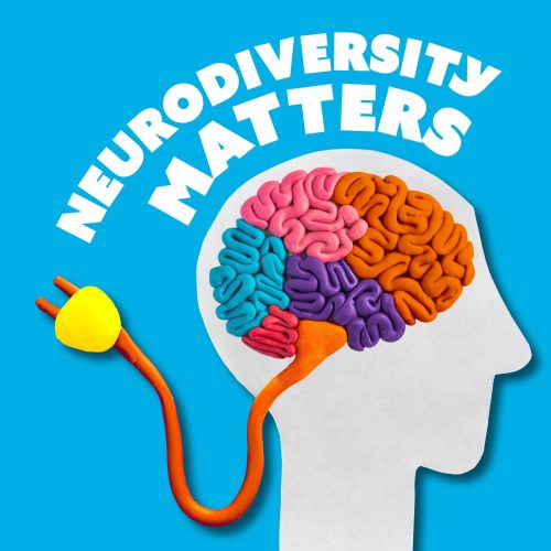 Podcast cover art for: Neurodiverstiy Matters from SFI